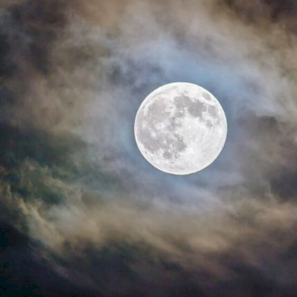 Furniture to Decorate Your Halloween Party