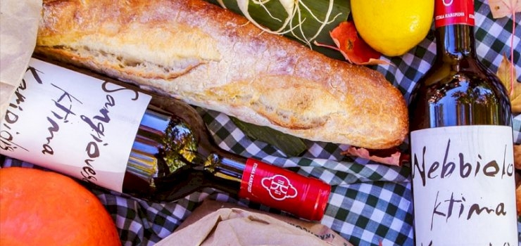 How To Pull Off The Ultimate Company Picnic