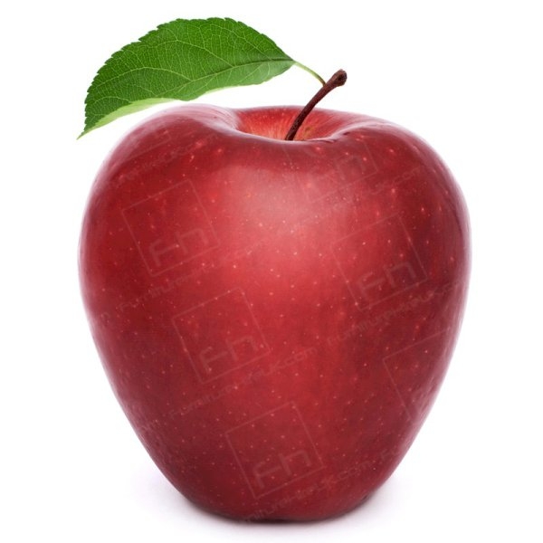 Food Serving Furniture… Really!?