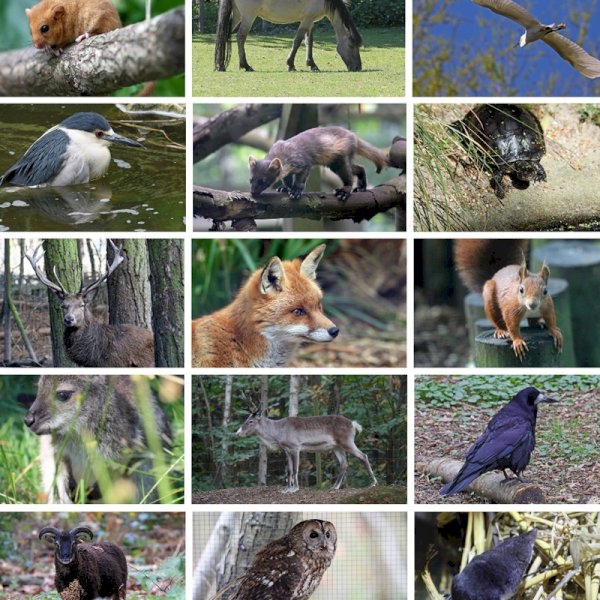 Furniture Donation Supports Wildwood Trust