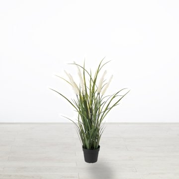 Artificial 2ft Pampas Grass Plant