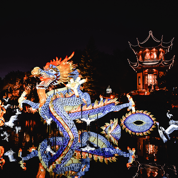 Host Your Own Chinese New Year Party Host Your Own Chinese New Year Party