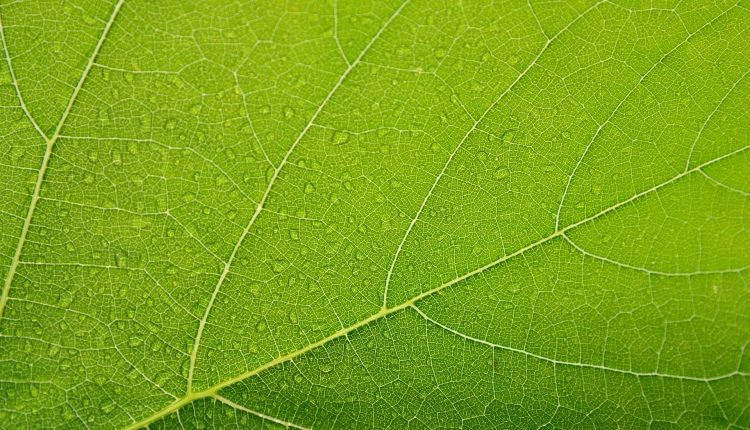 Colour Your Business Green For Growth And Creativity Colour Your Business Green For Growth And Creativity