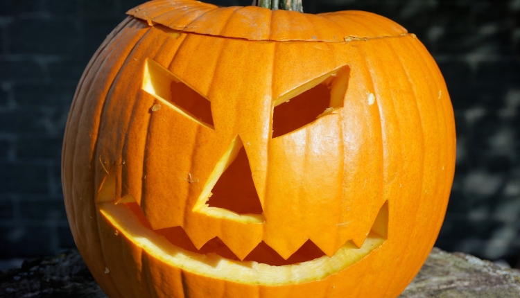 Furniture Hire For Halloween Parties Furniture Hire For Halloween Parties