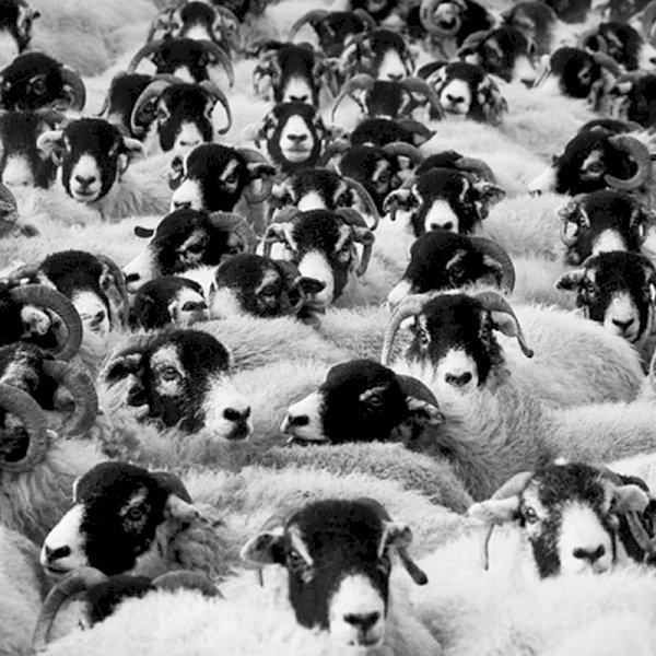 London’s Short On Space? We Have A Solution! London’s Short On Space? We Have A Solution!