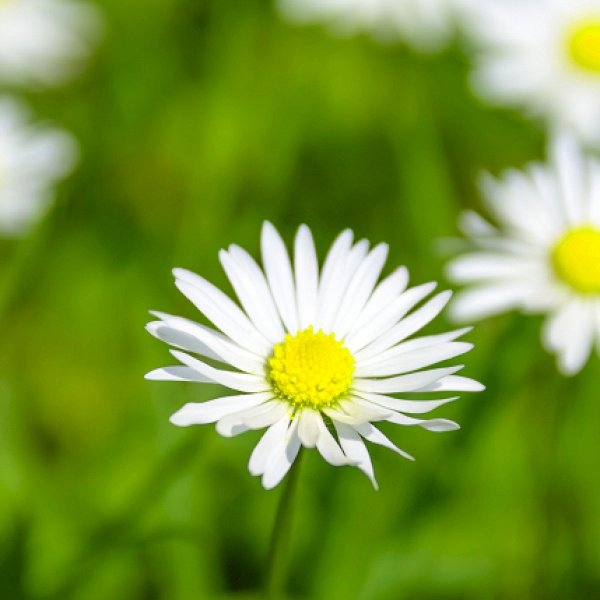 Spring Is In The Air At Furniture Hire UK Spring Is In The Air At Furniture Hire UK