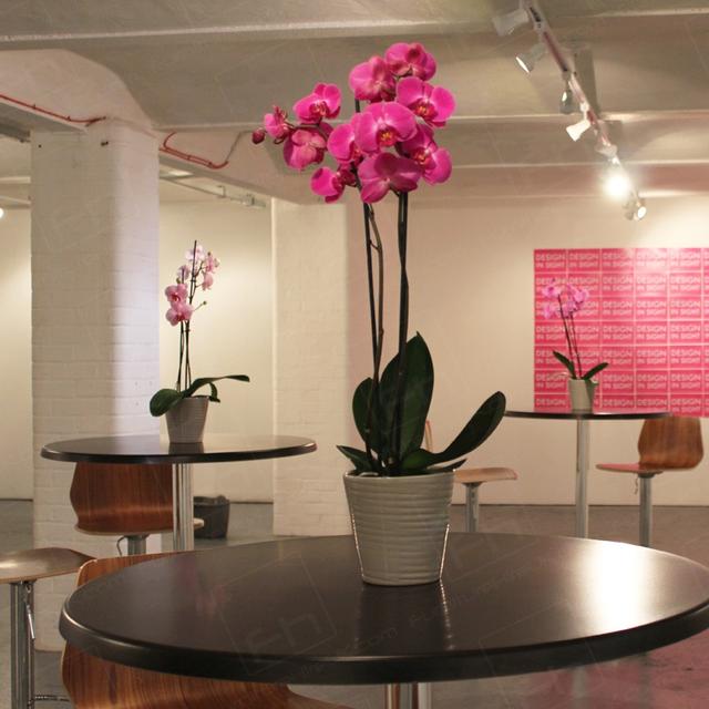 London Art Event https://d1hcs5uofxldvl.cloudfront.net/furniture-hire-uk/article_additional/london-art-event17/london-art-event17.jpg - Pink flowers & walnut tables for a stylish vibe.