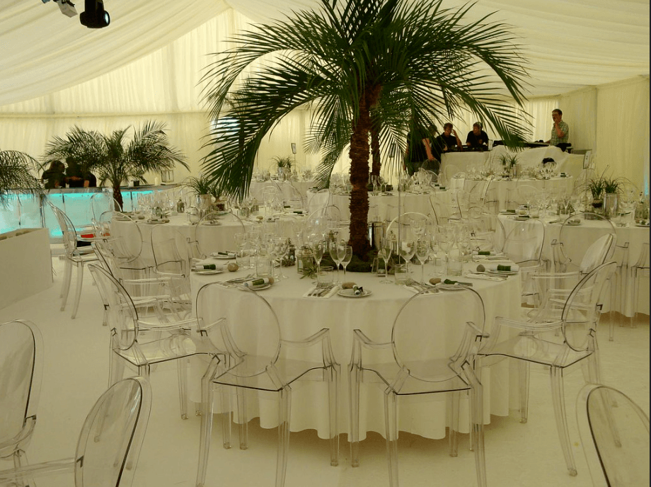 Palm Tree Wedding Set Up