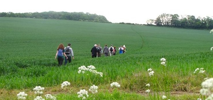 The Connection Pilgrimage      The Connection Pilgrimage