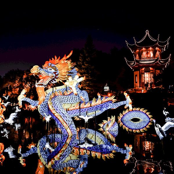 Host Your Own Chinese New Year Party Host Your Own Chinese New Year Party