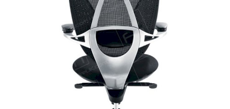 Choose the Best Office Chair Available Choose the Best Office Chair Available