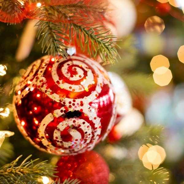 Merry Christmas - See Yule Next Year! Merry Christmas - See Yule Next Year!