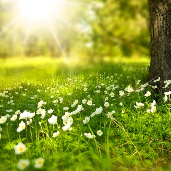 Keeping Outdoor Furniture Looking Its Best Keeping Outdoor Furniture Looking Its Best