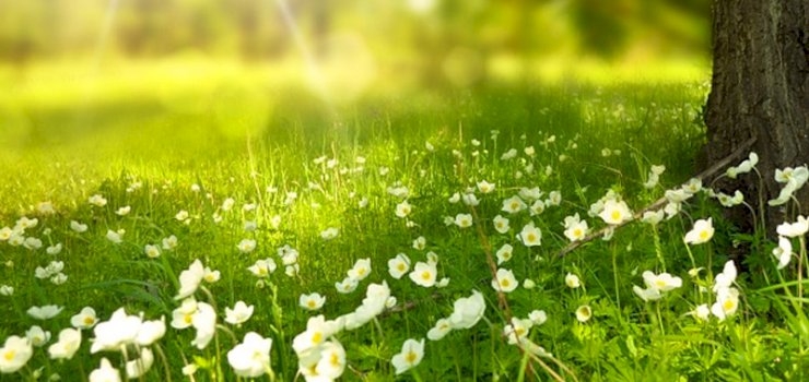 Keeping Outdoor Furniture Looking Its Best Keeping Outdoor Furniture Looking Its Best