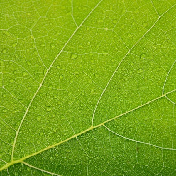Colour Your Business Green For Growth And Creativity Colour Your Business Green For Growth And Creativity