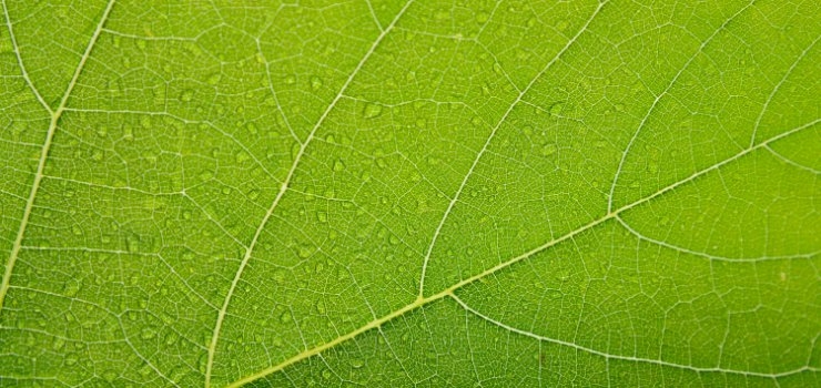 Colour Your Business Green For Growth And Creativity Colour Your Business Green For Growth And Creativity
