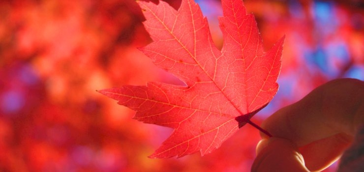 Colour Your Business Red For More Energy, Passion And Results Colour Your Business Red For More Energy, Passion And Results