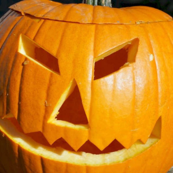 Furniture Hire For Halloween Parties Furniture Hire For Halloween Parties