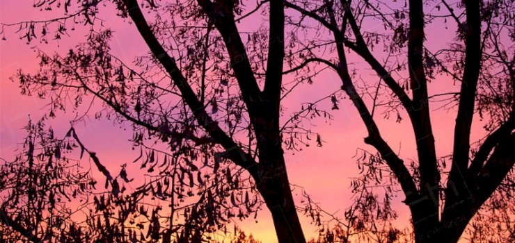 70 Years Ago Today… 70 Years Ago Today…