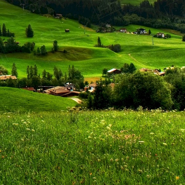 Pigs Might Fly? Not Where Furniture Hire’s Concerned! Pigs Might Fly? Not Where Furniture Hire’s Concerned!