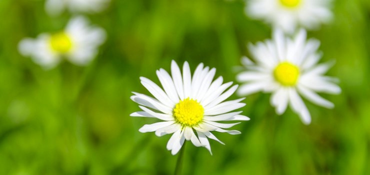 Spring Is In The Air At Furniture Hire UK Spring Is In The Air At Furniture Hire UK