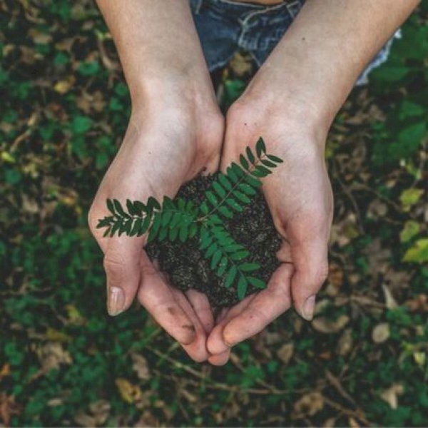 5 Easy Ways To Ensure Your Event Is Sustainable 5 Easy Ways To Ensure Your Event Is Sustainable