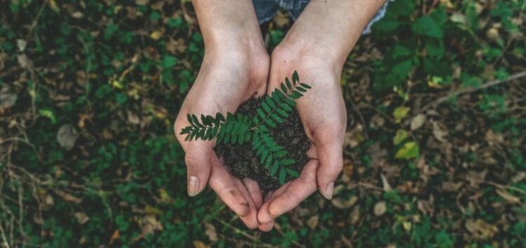 5 Easy Ways To Ensure Your Event Is Sustainable 5 Easy Ways To Ensure Your Event Is Sustainable