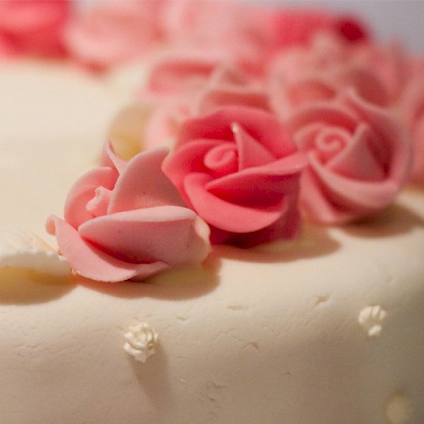 Wedding Winter Wonderland for Hire Wedding Winter Wonderland for Hire