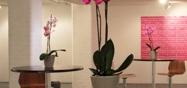 London Art Event https://mill-media.s3.eu-west-2.amazonaws.com/furniture-hire-uk/article_additional/london-art-event17/london-art-event17-740x350.jpg - Pink flowers & walnut tables for a stylish vibe.