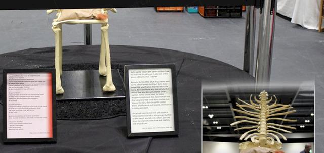 Science Fiction Exhibition https://mill-media.s3.eu-west-2.amazonaws.com/furniture-hire-uk/article_additional/science-fiction-exhibition7/science-fiction-exhibition7-740x350.jpg - Chair of Bones - next furniture hire product?