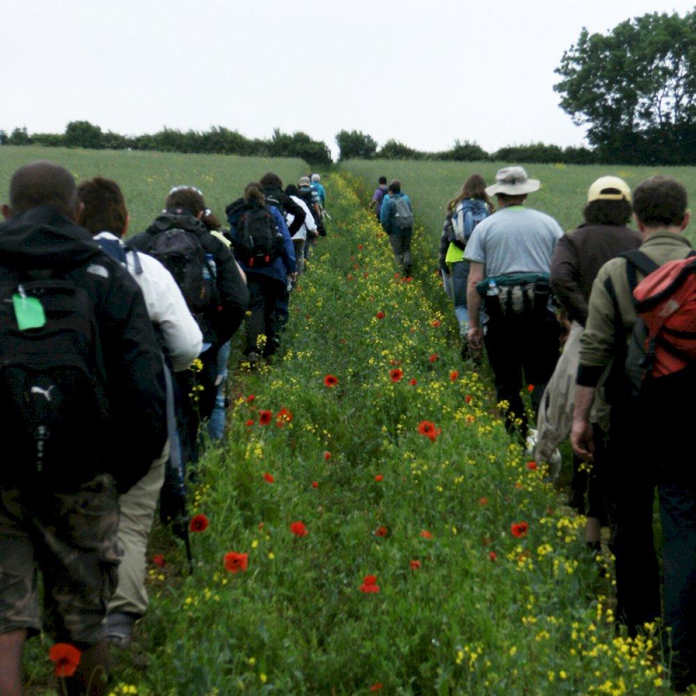 Walkers getting into their stride.