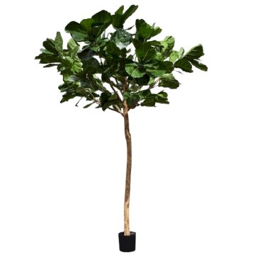 Artificial 10ft Fiddle Leaf Tree Artificial 10ft Fiddle Leaf Tree