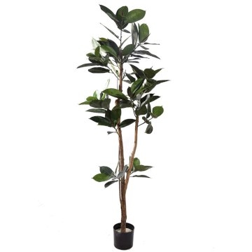 Artificial 6ft Slim Rubber Plant Artificial 6ft Slim Rubber Plant