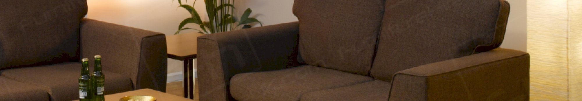 fabric sofas with plants