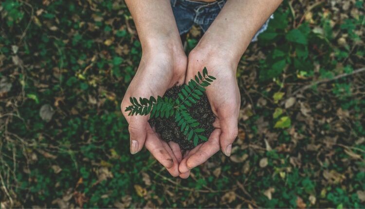 5 Easy Ways To Ensure Your Event Is Sustainable