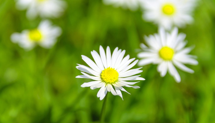 Spring Is In The Air At Furniture Hire UK